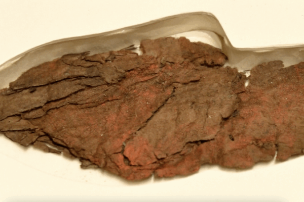 Les manuscrits en soie Chu vieux de 2300 ans reviennent à Pékin Les manuscrits en soie Chu vieux de 2300 ans reviennent à Pékin video poster