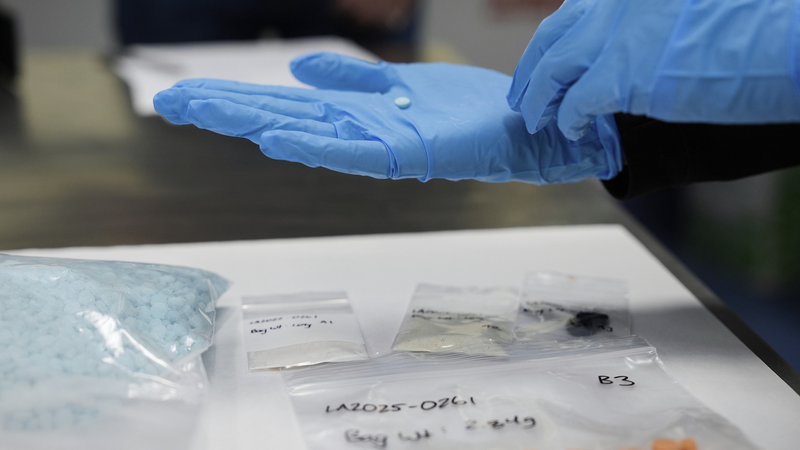 À l’intérieur de la crise de la drogue aux États-Unis : 12 % des consommateurs mondiaux dans un seul pays À l’intérieur de la crise de la drogue aux États-Unis : 12 % des consommateurs mondiaux dans un seul pays