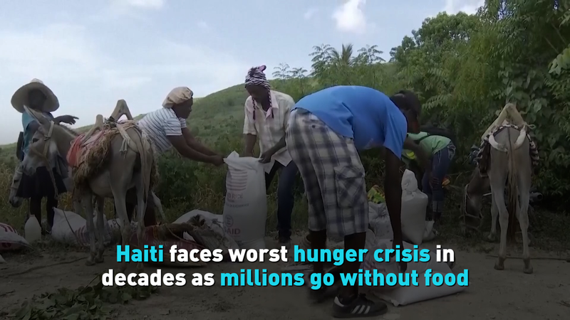 La pire crise de la faim en Haïti depuis des décennies frappe des millions La pire crise de la faim en Haïti depuis des décennies frappe des millions video poster