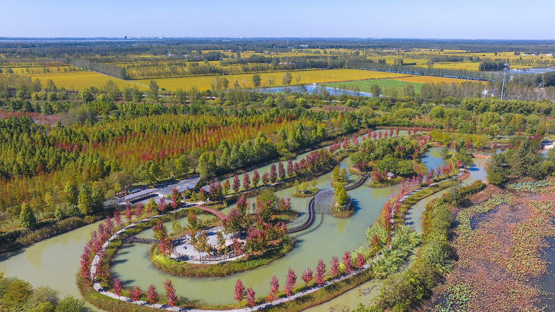 La Chine continentale crée 903 parcs de zones humides en 20 ans La Chine continentale crée 903 parcs de zones humides en 20 ans