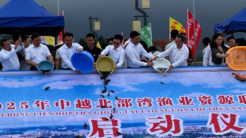 La Chine et le Vietnam s’unissent pour raviver la vie marine dans le golfe de Beibu La_Chine_et_le_Vietnam_s_unissent_pour_raviver_la_vie_marine_dans_le_golfe_de_Beibu video poster