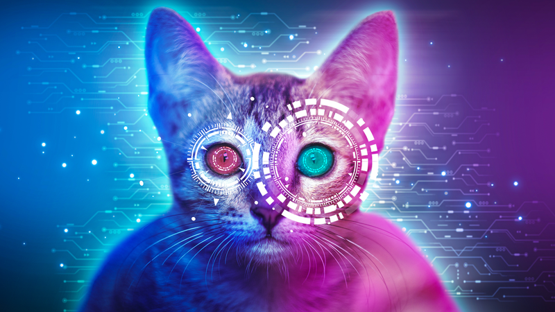 Le_brevet_d_IA_de_Baidu_pour_traduire_les_sons_des_animaux_en_langage_humain