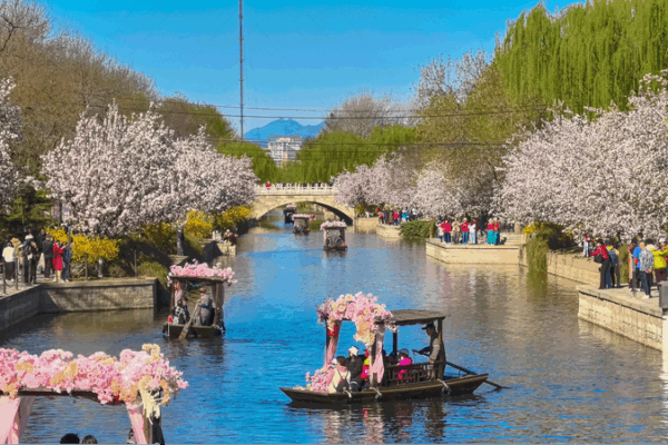 Le vert est l’or : le parcours de la Chine vers un air plus pur et une croissance plus verte Le_vert_est_l_or___le_parcours_de_la_Chine_vers_un_air_plus_pur_et_une_croissance_plus_verte