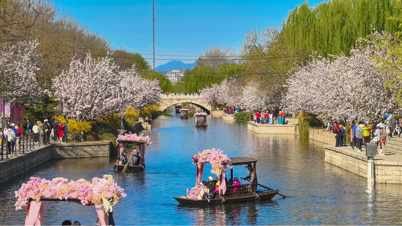 Le_vert_est_l_or___le_parcours_de_la_Chine_vers_un_air_plus_pur_et_une_croissance_plus_verte