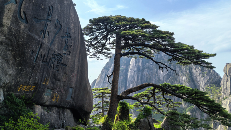 Les_Cinq_Merveilles_de_Huangshan_Provoquent_un_Boom_Touristique
