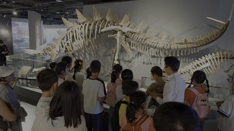 Pelotes de chouette vers de grandes idées : les musées en Chine continentale comme salles de classe Pelotes de chouette vers de grandes idées : les musées en Chine continentale comme salles de classe video poster