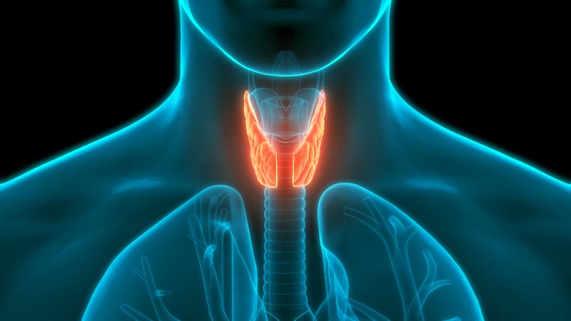 La sensibilisation à la santé de la thyroïde s’envole sur Xiaohongshu en Chine continentale La sensibilisation à la santé de la thyroïde s'envole sur Xiaohongshu en Chine continentale