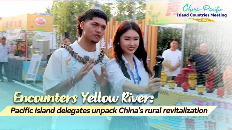 Des fermes partagées au commerce électronique : des délégués du Pacifique visitent la revitalisation rurale du Shandong video poster