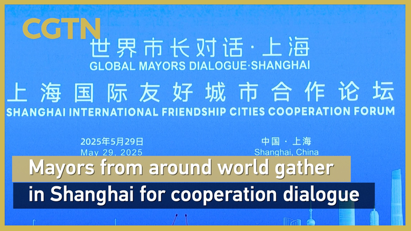 Les maires de 22 pays s’unissent à Shanghai pour un dialogue mondial des villes Les maires de 22 pays s'unissent à Shanghai pour un dialogue mondial des villes video poster