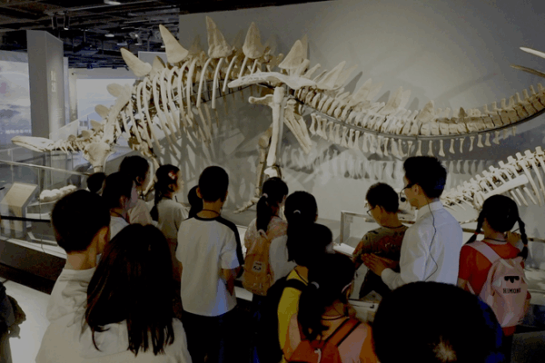 Réinventer les musées chinois : à l’intérieur du Musée de l’Université du Sichuan Réinventer les musées chinois : à l'intérieur du Musée de l'Université du Sichuan video poster