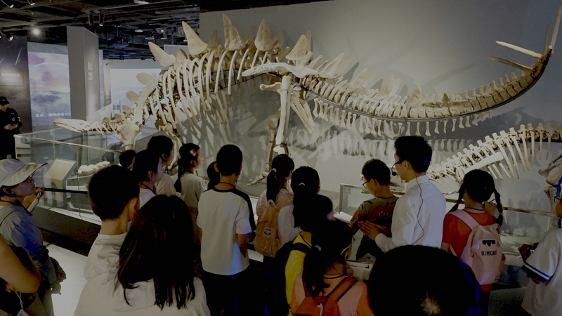Réinventer les musées chinois : à l'intérieur du Musée de l'Université du Sichuan video poster