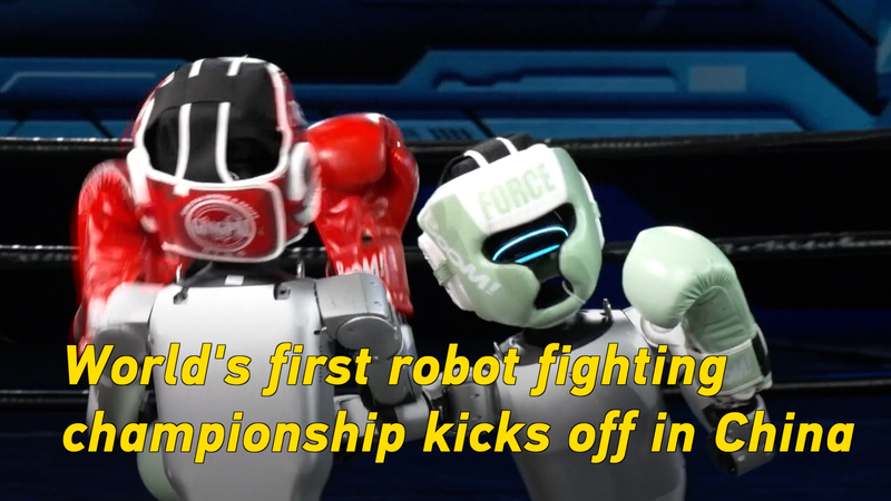 Hangzhou accueille le premier championnat mondial de combat de robots humanoïdes Hangzhou accueille le premier championnat mondial de combat de robots humanoïdes video poster