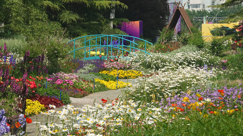 Le parc Haidian de Pékin se transforme en un jardin Monet vivant Le parc Haidian de Pékin se transforme en un jardin Monet vivant