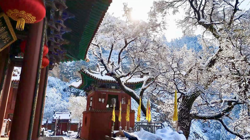 Le revêtement givré éthéré transforme la montagne Hengshan en un pays des merveilles hivernal Le revêtement givré éthéré transforme la montagne Hengshan en un pays des merveilles hivernal video poster
