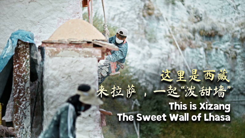 Le mur sucré de Lhassa : Le rituel annuel de peinture du palais du Potala Le mur sucré de Lhassa : Le rituel annuel de peinture du palais du Potala video poster