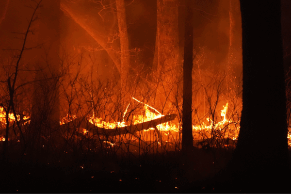 Étude : La fumée des incendies due au changement climatique a causé 15 000 décès aux États-Unis Étude : La fumée des incendies due au changement climatique a causé 15 000 décès aux États-Unis