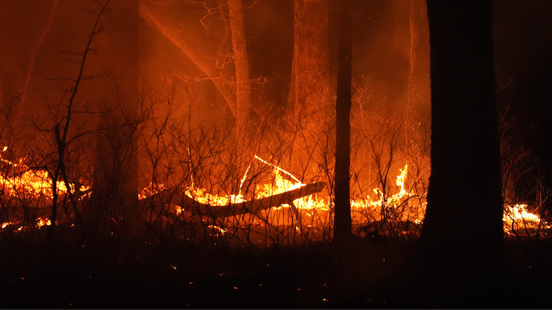 Étude : La fumée des incendies due au changement climatique a causé 15 000 décès aux États-Unis