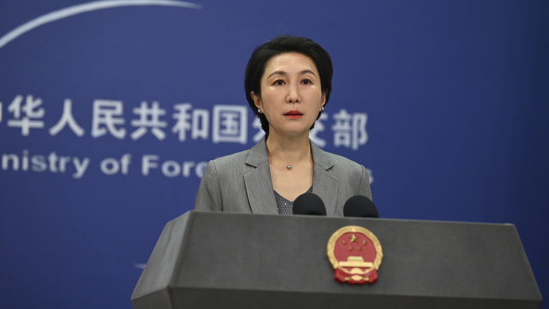Pékin rejette les sanctions de l'UE contre les entreprises chinoises