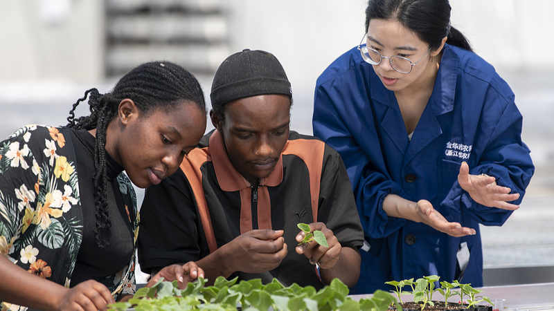 La Chine et l’Afrique lancent la Déclaration de Changsha pour la coopération du Sud global La Chine et l'Afrique lancent la Déclaration de Changsha pour la coopération du Sud global