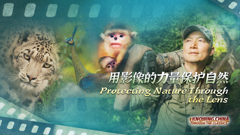 À travers l’objectif : 40 ans de conservation de la faune de Xi Zhinong À travers l’objectif : 40 ans de conservation de la faune de Xi Zhinong video poster
