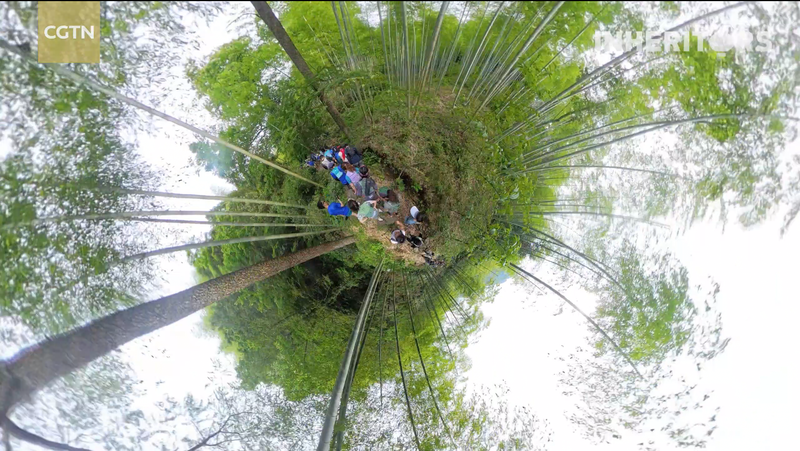 Course dans la forêt de bambous à Anji : Célébrer la Journée mondiale de l’environnement Course dans la forêt de bambous à Anji : Célébrer la Journée mondiale de l'environnement video poster