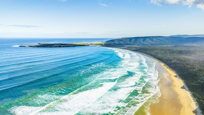 Les Catlins vous attendent : le joyau côtier de la Nouvelle-Zélande avec une entrée facilitée pour les visiteurs chinois Les Catlins vous attendent : le joyau côtier de la Nouvelle-Zélande avec une entrée facilitée pour les visiteurs chinois
