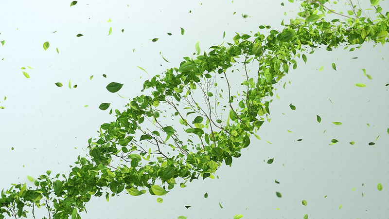 Des équipes israéliennes et chinoises dévoilent la prochaine génération de CRISPR pour de meilleures cultures Des équipes israéliennes et chinoises dévoilent la prochaine génération de CRISPR pour de meilleures cultures