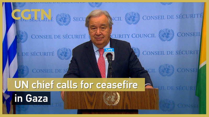 Le chef de l’ONU appelle à un cessez-le-feu à Gaza alors qu’une trêve régionale suscite l’espoir Le chef de l'ONU appelle à un cessez-le-feu à Gaza alors qu'une trêve régionale suscite l'espoir video poster