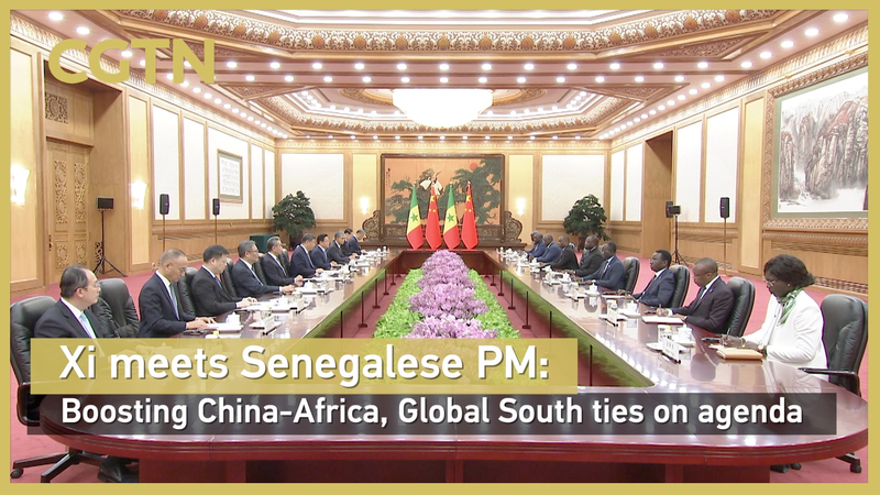 Xi, PM Sonko renforcent la solidarité entre la Chine, le Sénégal et le Sud global Xi, PM Sonko renforcent la solidarité entre la Chine, le Sénégal et le Sud global video poster