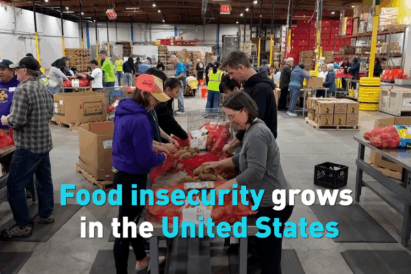 La sécurité alimentaire aux États-Unis s’aggrave en raison de l’inflation et des réductions d’aides La sécurité alimentaire aux États-Unis s'aggrave en raison de l'inflation et des réductions d'aides video poster