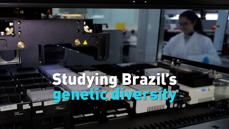 Étude génétique révèle la diversité unique du Brésil Étude génétique révèle la diversité unique du Brésil video poster