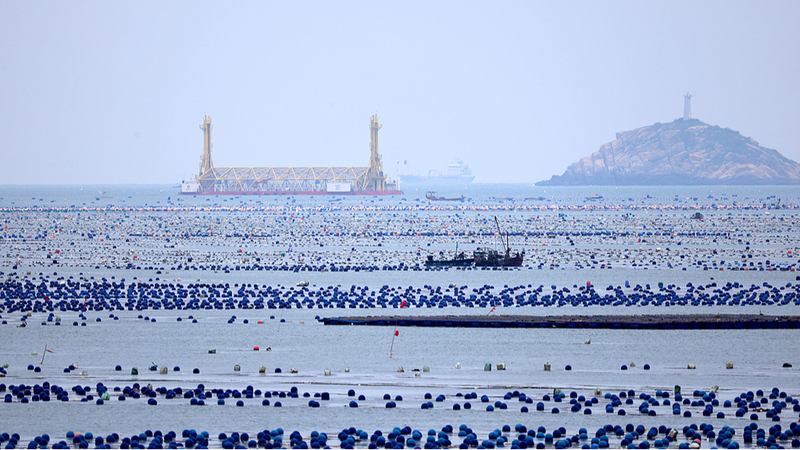 Carbone_Bleu___Exploiter_le_Pouvoir_Secret_de_la_Mer_Contre_le_Changement_Climatique