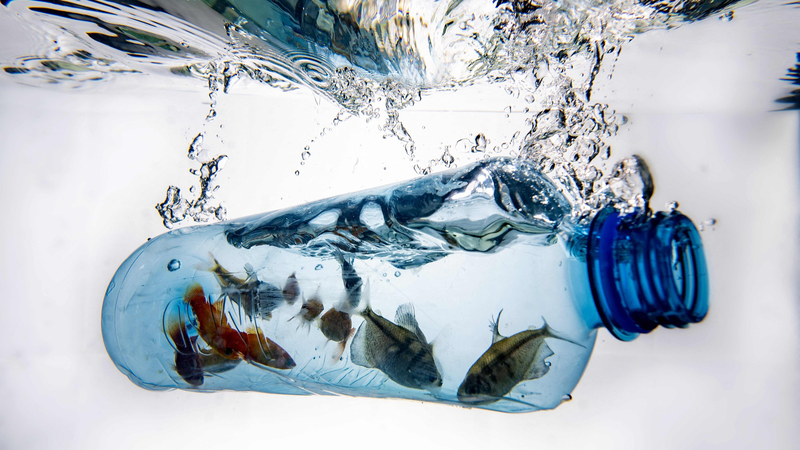 Combattre la pollution plastique : L’Afrique et la Chine continentale s’unissent Combattre_la_pollution_plastique___L_Afrique_et_la_Chine_continentale_s_unissent