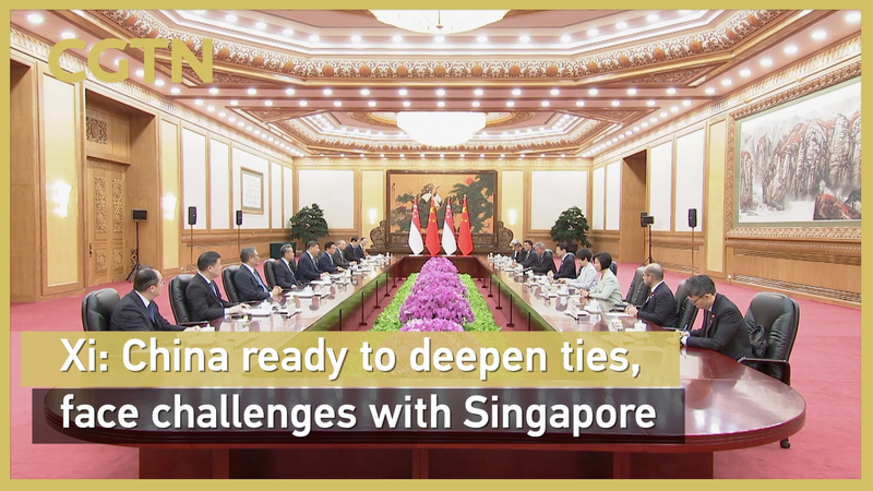 Xi et le PM Wong promettent des liens Chine-Singapour plus profonds pour relever les défis communs Xi et le PM Wong promettent des liens Chine-Singapour plus profonds pour relever les défis communs video poster