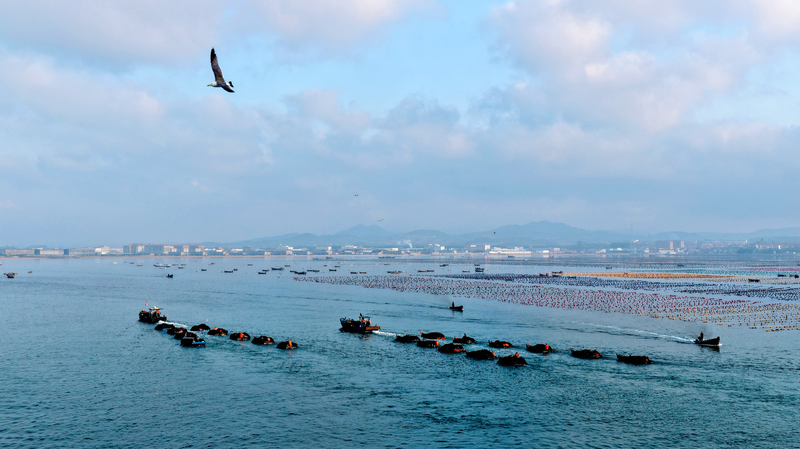 La vision océanique de Xi : Comment la Chine trace son essor maritime La vision océanique de Xi : Comment la Chine trace son essor maritime