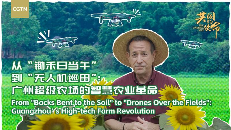 Révolution agricole high-tech de Guangzhou : agriculture intelligente pour des récoltes stables Révolution agricole high-tech de Guangzhou : agriculture intelligente pour des récoltes stables video poster