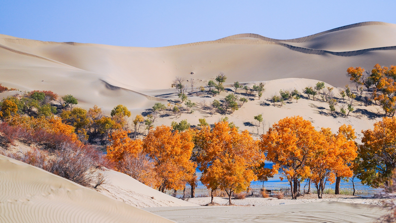 La Chine et l’Asie centrale s’unissent pour transformer les déserts en oasis La Chine et l'Asie centrale s'unissent pour transformer les déserts en oasis