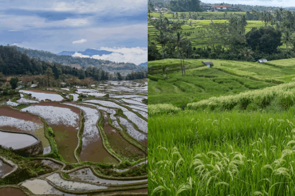 Merveilles d’irrigation : Les terrasses de Honghe et le Subak de Bali Merveilles_d_irrigation___Les_terrasses_de_Honghe_et_le_Subak_de_Bali