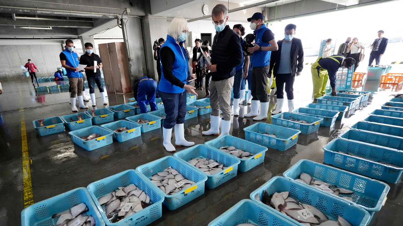 La Chine continentale reprend les importations de fruits de mer japonais sous mesures de sécurité La Chine continentale reprend les importations de fruits de mer japonais sous mesures de sécurité