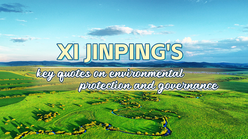La vision verte de Xi Jinping pour la Journée mondiale de l’environnement