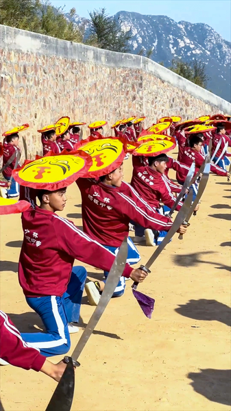 Les adolescents de Dengfeng forgent le corps et l’esprit grâce aux arts martiaux Les adolescents de Dengfeng forgent le corps et l'esprit grâce aux arts martiaux video poster