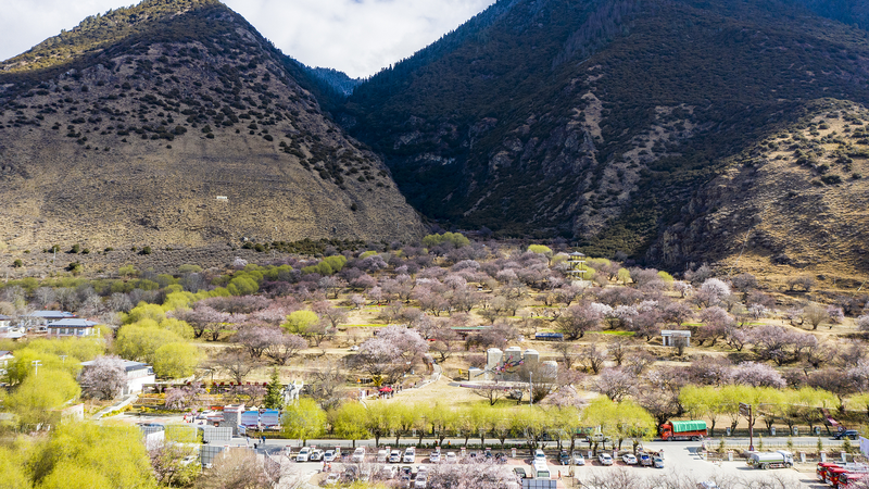 Xi Jinping exhorte à la solidarité ethnique pour un avenir meilleur dans le village de Xizang Xi Jinping exhorte à la solidarité ethnique pour un avenir meilleur dans le village de Xizang