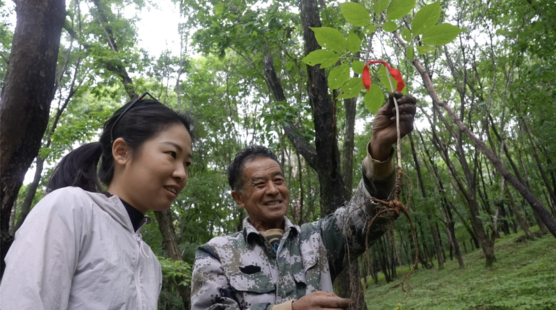 La réinvention rurale de Ji’an : un modèle de croissance inclusive La réinvention rurale de Ji'an : un modèle de croissance inclusive video poster