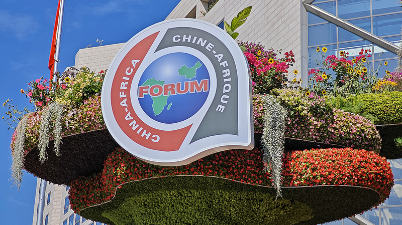 La Chine et l’Afrique se mobilisent pour mettre en œuvre les actions du Sommet de Pékin du FOCAC La Chine et l'Afrique se mobilisent pour mettre en œuvre les actions du Sommet de Pékin du FOCAC