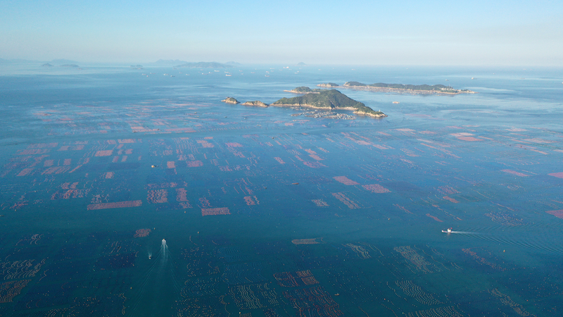Vision Océanique de la Chine : Quatre Piliers pour un Avenir Maritime Partagé Vision Océanique de la Chine : Quatre Piliers pour un Avenir Maritime Partagé