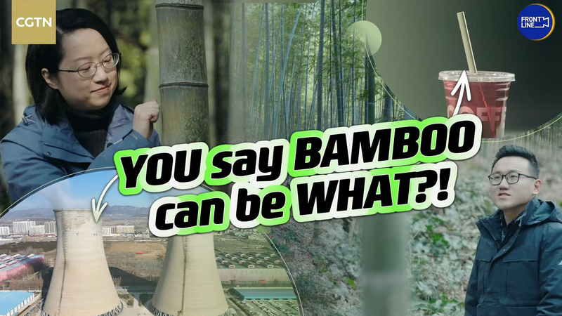 Transformer le bambou en ennemi du plastique : La solution verte de la Chine Transformer_le_bambou_en_ennemi_du_plastique___La_solution_verte_de_la_Chine video poster