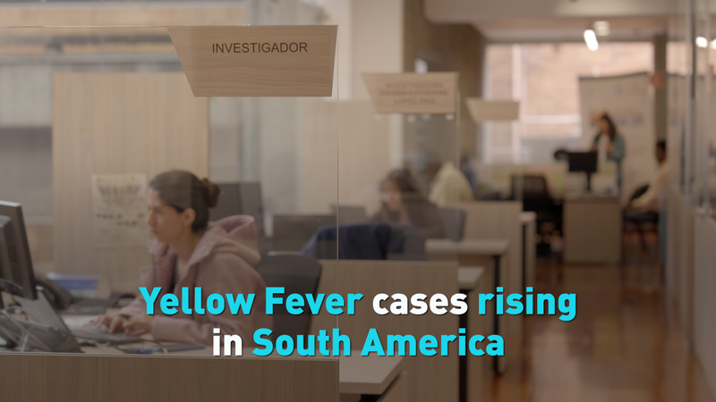 Alerte des CDC : La fièvre jaune augmente en Amérique du Sud Alerte des CDC : La fièvre jaune augmente en Amérique du Sud video poster