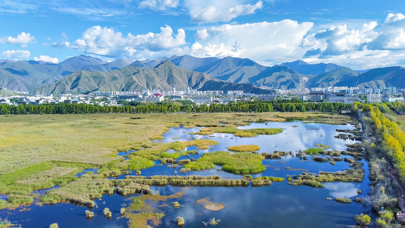 L’environnement du Xizang reste solide en 2024 L’environnement du Xizang reste solide en 2024