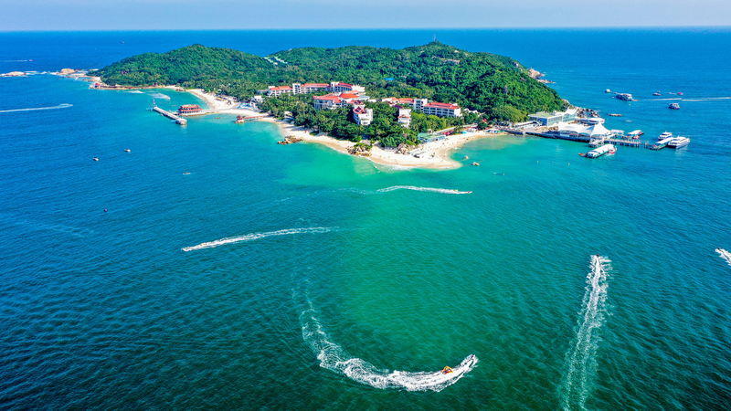 Marine de l’île Wuzhizhou : Renaissance des récifs coralliens Marine de l'île Wuzhizhou : Renaissance des récifs coralliens video poster