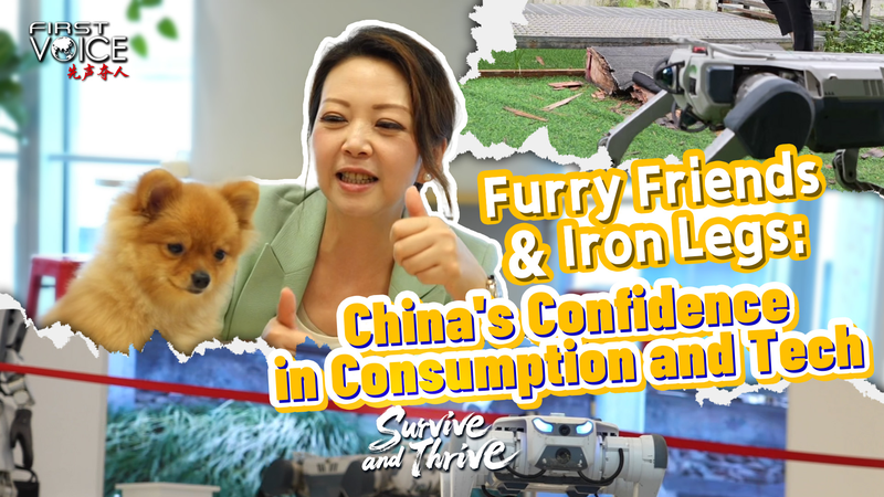 Amis à Fourrure & Jambes de Fer : L’essor de la consommation et de la technologie en Chine continentale Amis à Fourrure & Jambes de Fer : L'essor de la consommation et de la technologie en Chine continentale video poster